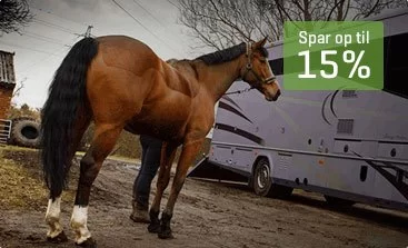 - Attachment Image Html - bg_image